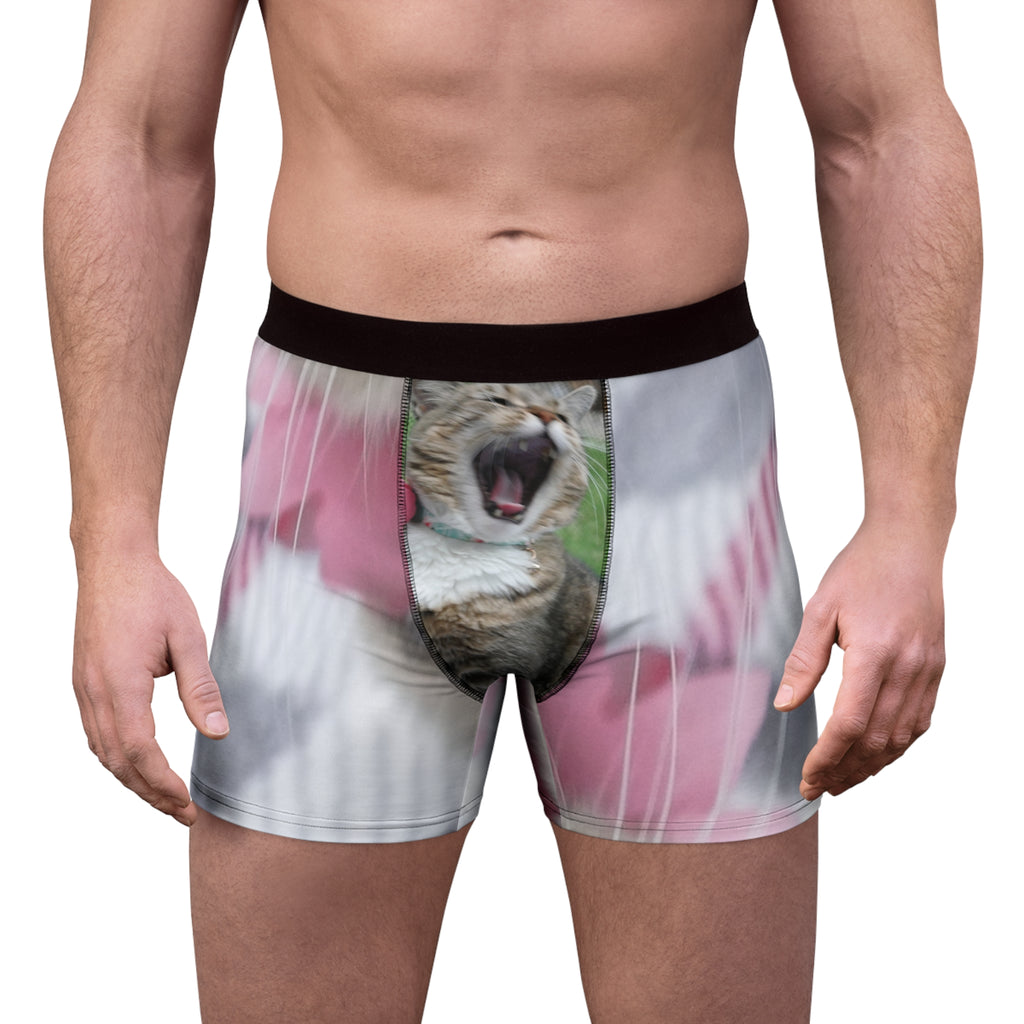 the zena briefs