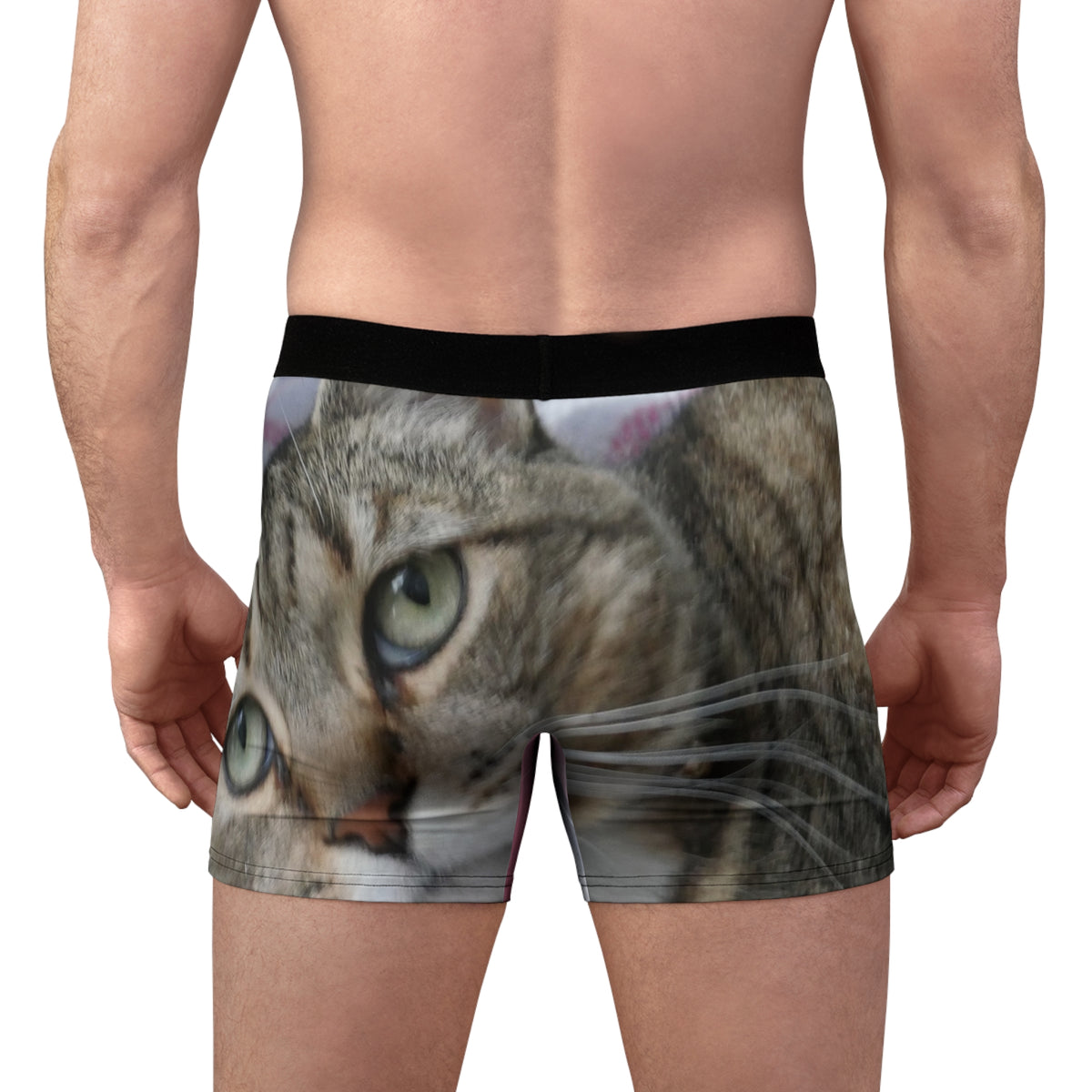 the zena briefs