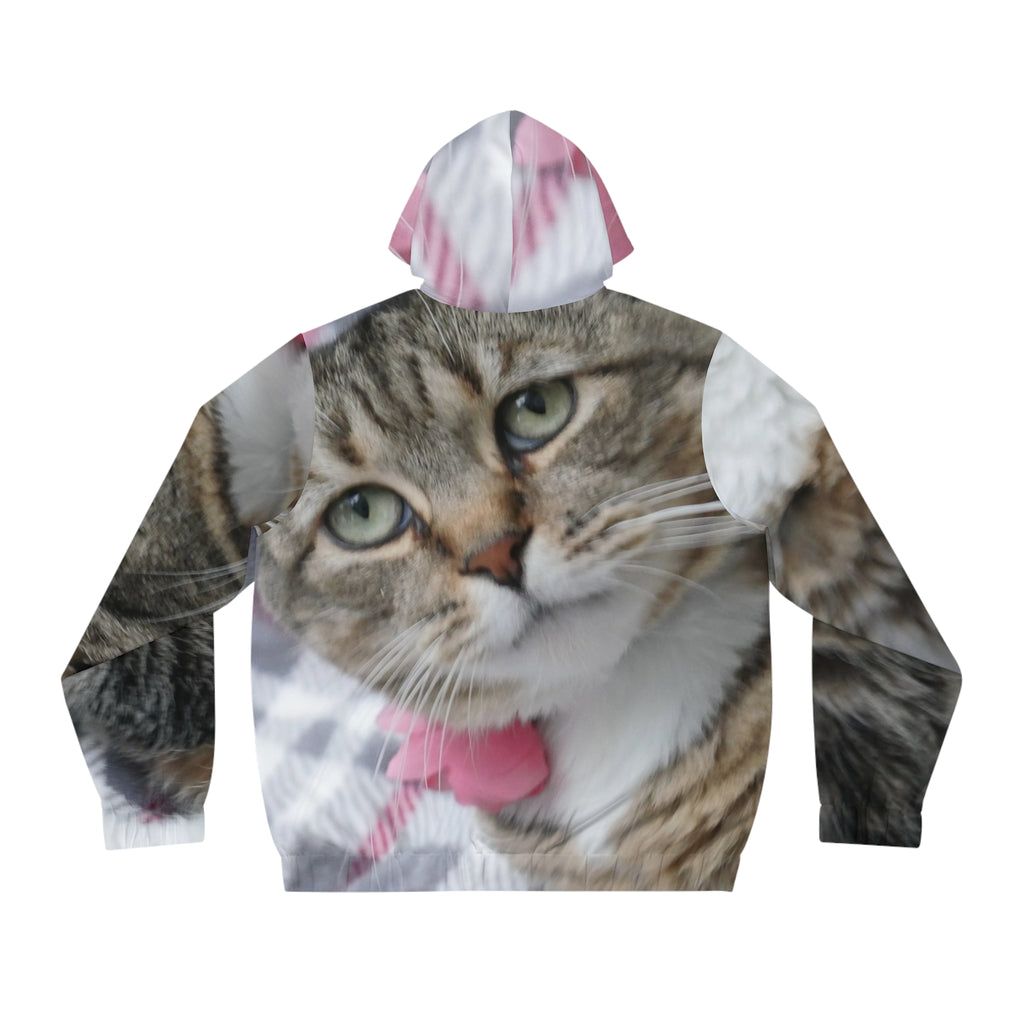 the zena mens zipup hoodie